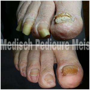 website-foto-4